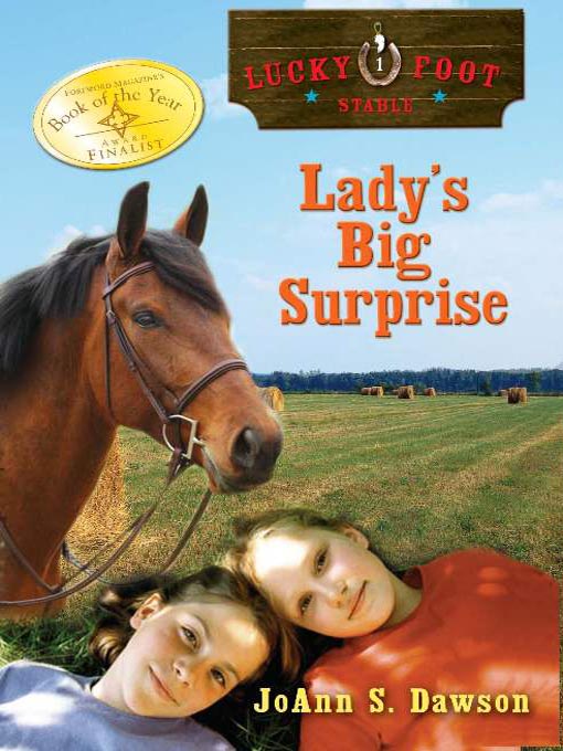 Title details for Lady's Big Surprise by JoAnn Dawson - Available